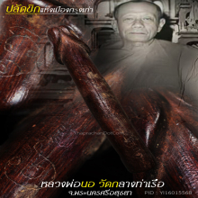 “ปลัดขิก” หลวงพ่อนอ วัดกลางท่าเรือ จ.พระนครศรีอยุธยา