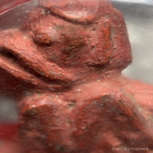 มหาว่านยาสัก รูปพญาครุฑล้านนา