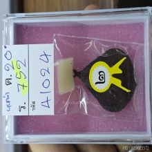 เหรียญหยดน้ำ หลวงปู่ทิม วัดละหารไร่ 