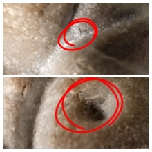 พระปิดตา มหาเสน่ห์ หลวงปู่โต๊ะ วัดประดู่ฉิมพลี