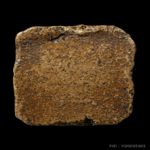 หลวงพ่อปาน วัดบางนมโค ดารา