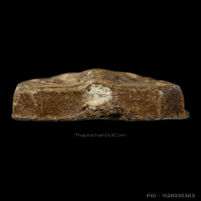 หลวงพ่อปาน วัดบางนมโค ดารา