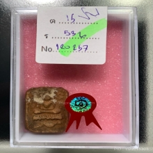 หลวงพ่อปาน วัดบางนมโค ที่ 1 งานขอนแก่น