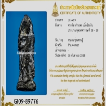 พระลีลากำแพง เนื้อชินเงิน กรุลานทุ่งเศรษฐี กำแพงเพชร ใบเซอร์