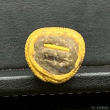 พระทองคำ.ฤาษีกายทิพย์ปี2547