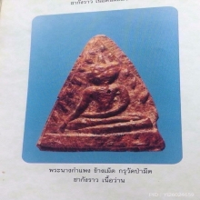 นางกำแพงข้างเม็ด เนื้อว่านหน้าทองคำ กรุวัดป่ามืด 
