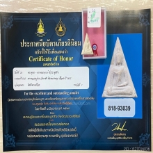 ติดที่1สมาคม หลวงปู่นาค วัดระฆัง พิมพ์นางพญา