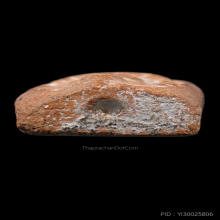 หลวงพ่อปาน ทรงครุต กลาง