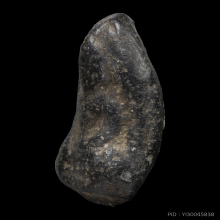 พระพิจิตรเม็ดน้อยหน่า กรุท่าฉนวน จ.พิจิตร (หายากมาก)