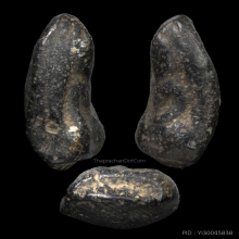 พระพิจิตรเม็ดน้อยหน่า กรุท่าฉนวน จ.พิจิตร (หายากมาก)