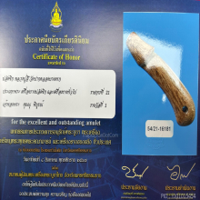 >>>..,ปลัดขิกหลวงปู่สี วัดปากคลองบางครก สุดมันส์ ยุคต้น!!!