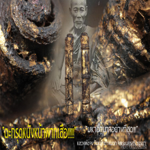 “ตะกรุดหนังหน้าผากเสือ” หลวงพ่อจง วัดหน้าต่างนอก จ.อยุธยา
