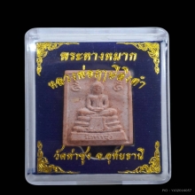 พระหางหมากหลวงพ่อฤาษีลิงดำ วัดท่าซุง