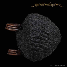 เบี้ยแก้ หลวงปู่เจือ พร้อมบัตรรับรอง
