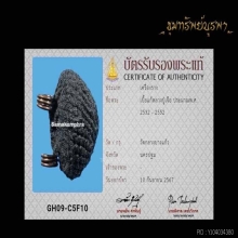 เบี้ยแก้ หลวงปู่เจือ พร้อมบัตรรับรอง