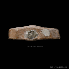 หลวงพ่อปานพิมพ์เม่นเล็กสวยแชมป์ครับ