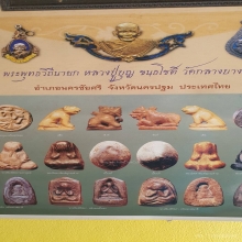 เสือหลวงปู่บุญ วัดกลางบางแก้ว 