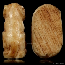 เสือหลวงพ่อปาน เขี้ยวซีก สาริกา สูง 0.8 cm.