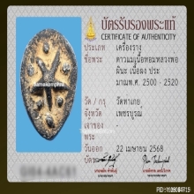 ดาวแม่เนื้อหอม หลวงพ่อผินะ วัดสนมลาว จ.สระบุรี