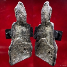 พระหูยาน พิมพ์กลาง เนื้อชินเงิน กรุวัดพระศรีฯ ลพบุรี