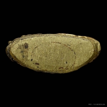 พระกริ่งไพรีพินาศ ปี๒๔๙๕ พิมพ์นิยม 