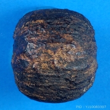 ตะกรุด