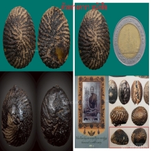 เบี้ยลป.บุญ วัดกลางบางแก้ว