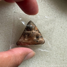 นางพญาพิษณุโลก