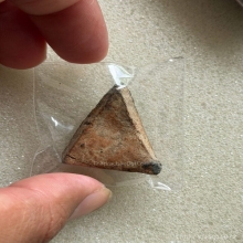 นางพญาพิษณุโลก