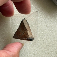 นางพญาพิษณุโลก