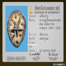 ดาวแม่เนื้อหอม หลวงพ่อผินะ วัดสนมลาว จ.สระบุรี