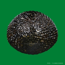 เบี้ยแก้ หลวงปู่เพิ่ม วัดกลางบางแก้ว