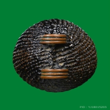 เบี้ยแก้ หลวงปู่เพิ่ม วัดกลางบางแก้ว