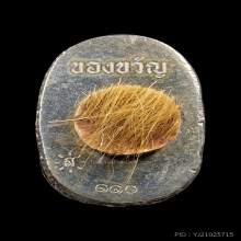 เสือของขวัญรุ่นแรก หลวงปู่ศิลา เนื้อมหามวลสาร ปี2568
