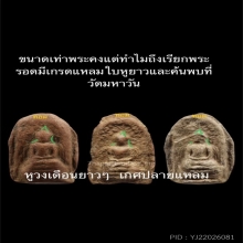 พระรอดหลวง กรุวัดมหาวัน