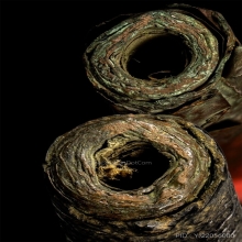 ตะกรุดโทนมหาปราบหลวงพ่อปาน วัดคลองด่าน จ.สมุทรปราการ 