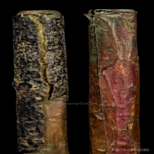 ตะกรุดโทนมหาปราบหลวงพ่อปาน วัดคลองด่าน จ.สมุทรปราการ 