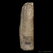 สมเด็จพิมพ์โพธิ์ 8 หลวงปู่โต๊ะ