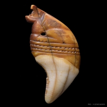 เสือ หลวงพ่อนก วัดสังกะสี