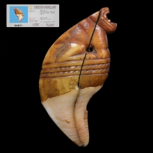 เสือ หลวงพ่อนก วัดสังกะสี