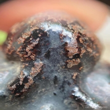 พระปิดตาพิมพ์ปั้น วัดในปากทะเล จ.เพชรบุรี