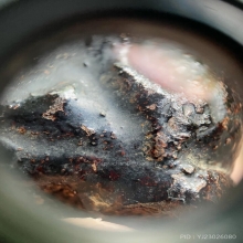 พระปิดตาพิมพ์ปั้น วัดในปากทะเล จ.เพชรบุรี