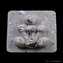 กระดูกผี หลวงพ่อชำนาญ วัดชิน