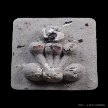 กระดูกผี หลวงพ่อชำนาญ วัดชิน