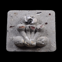 กระดูกผี หลวงพ่อชำนาญ วัดชิน