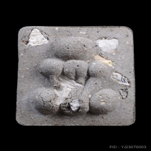 กระดูกผีสองหน้า หลวงพ่อชำนาญ วัดชิน