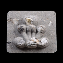 กระดูกผีสองหน้า หลวงพ่อชำนาญ วัดชิน