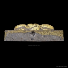 กระดูกผีปิดทองฝังตะกรุดเงิน หลวงพ่อชำนาญ วัดชิน