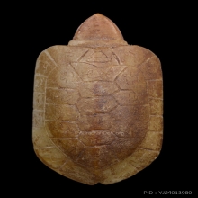 เต่าหุบขา ศิลป์ห้อยคอ ยุคต้น หลวงพ่อสนิท หายาก