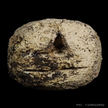 ปิดตาล้มลุก คุณแม่บุญเรือน โตงบุญเติม วัดอาวุธฯ